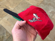 Load image into Gallery viewer, Vintage UNLV Running Rebels Starter Tailsweep Snapback College Hat