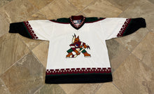 Load image into Gallery viewer, Vintage Phoenix Coyotes Tony Amonte CCM Kachina Hockey Jersey, Size XL