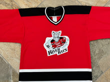 Load image into Gallery viewer, Vintage Albany River Rats AHL CCM Hockey Jersey, Size Large