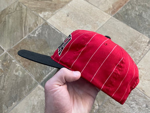 Vintage Georgia Bulldogs Starter Snapback College Hat