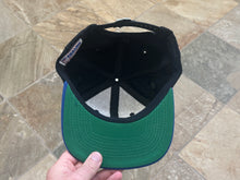 Load image into Gallery viewer, Vintage Buffalo Bills Apex One Snapback Football Hat