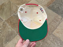 Load image into Gallery viewer, Vintage Detroit Red Wings Logo Athletic Sharktooth Snapback Hockey Hat