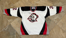 Load image into Gallery viewer, Vintage Buffalo Sabres Rob Ray CCM Hockey Jersey, Size Large