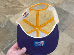 Vintage Minnesota Vikings AJD Superstripe Snapback Football Hat