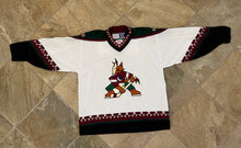 Load image into Gallery viewer, Vintage Phoenix Coyotes Tony Amonte CCM Kachina Hockey Jersey, Size XL