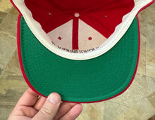 Load image into Gallery viewer, Vintage Georgia Bulldogs Starter Arch Snapback College Hat