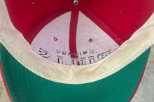 Load image into Gallery viewer, Vintage Chicago Bulls Starter Arch Snapback Basketball Hat