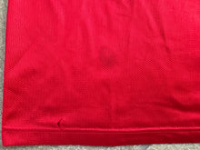 Load image into Gallery viewer, Vintage Chicago Bulls Scottie Pippen Champion Basketball Jersey, Size 44, Large