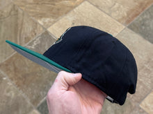 Load image into Gallery viewer, Vintage Lynchburg Hillcats MiLB New Era Snapback Baseball Hat