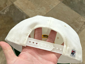 Vintage Iowa Hawkeyes The Game Circle Logo Snapback College Hat