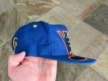 Load image into Gallery viewer, Vintage St. Louis Blues AJD Monster Logo Snapback Hockey Hat