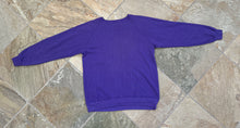 Load image into Gallery viewer, Vintage Minnesota Vikings Champion Football Sweatshirt, Size XL
