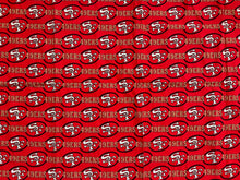 Load image into Gallery viewer, Vintage San Francisco 49ers NFL Football Fabric Sheet ###