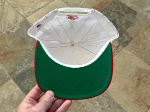 Vintage Ohio State Buckeyes Starter Pinstripe Snapback College Hat