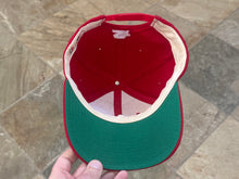 Load image into Gallery viewer, Vintage Chicago Bulls Starter Arch Snapback Basketball Hat