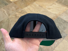 Load image into Gallery viewer, Tampa Bay Devil Rays American Needle Snapback Baseball Hat