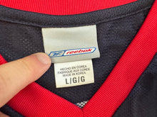 Load image into Gallery viewer, Vintage Team USA Mike Bibby Reebok Basketball Jersey, Size Large