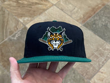 Load image into Gallery viewer, Vintage Lynchburg Hillcats MiLB New Era Snapback Baseball Hat