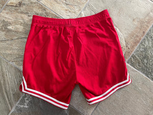 Vintage Louisville Cardinals Game Worn College Basketball Shorts, Size Large