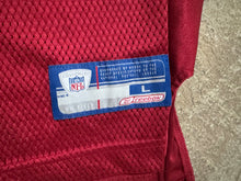 Load image into Gallery viewer, Vintage San Francisco 49ers Jeff Garcia Reebok Football Jersey, Size Youth Large, 14-16