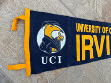Load image into Gallery viewer, Vintage University of California Irvine Anteaters Felt College Pennant