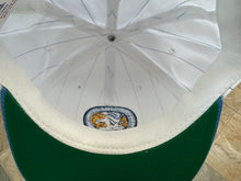 Load image into Gallery viewer, Vintage North Carolina Tarheels Starter Pinstripe Snapback College Hat