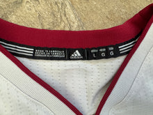 Load image into Gallery viewer, Vintage Miami Heat Dwayne Wade Adidas Basketball Jersey, Size Youth Large, 14-16