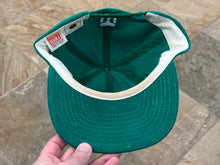 Load image into Gallery viewer, Vintage Hartford Whalers American Needle Snapback Hockey Hat