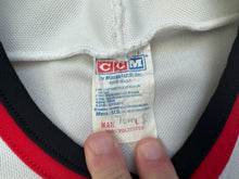 Load image into Gallery viewer, Vintage Chicago Blackhawks CCM Hockey Jersey, Size Large