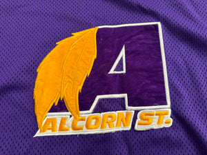Vintage Alcorn State Braves Hockey College Jersey, Size XL