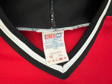 Load image into Gallery viewer, Vintage Albany River Rats AHL CCM Hockey Jersey, Size Large