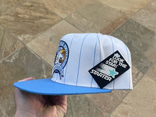 Load image into Gallery viewer, Vintage North Carolina Tarheels Starter Pinstripe Snapback College Hat