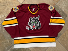Load image into Gallery viewer, Vintage Chicago Wolves Prowear Hockey Jersey, Size XL