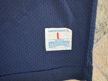Load image into Gallery viewer, Vintage Hofstra Flying Dutchmen Champion Football Jersey, Size Large