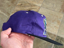 Load image into Gallery viewer, Vintage Minnesota Moose Zephyr Grafx Youth Snapback Hockey Hat