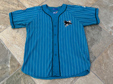 Load image into Gallery viewer, Vintage San Jose Sharks Starter Pinstripe Hockey Jersey, Size Large