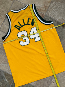 Vintage Seattle SuperSonics Ray Allen Nike Basketball Jersey, Size XXL