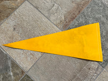 Load image into Gallery viewer, Vintage California Oakland Golden Seals Sparky Hockey Pennant