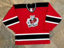 Load image into Gallery viewer, Vintage Albany River Rats AHL CCM Hockey Jersey, Size Large