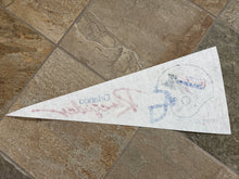 Load image into Gallery viewer, Vintage Orlando Renegades USFL Football Pennant