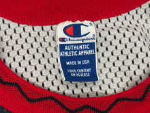 Load image into Gallery viewer, Vintage Team USA Glenn Robinson Champion Basketball Jersey, Size 48, XL