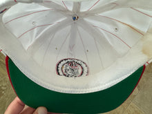 Load image into Gallery viewer, Vintage Georgia Bulldogs Starter Pinstripe Snapback College Hat