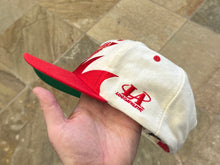 Load image into Gallery viewer, Vintage Detroit Red Wings Logo Athletic Sharktooth Snapback Hockey Hat