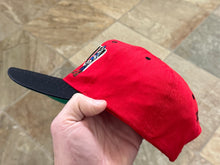 Load image into Gallery viewer, Vintage UNLV Runnin’ Rebels Bugs Bunny Looney Tunes Snapback College Hat