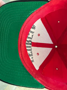 Vintage Georgia Bulldogs Starter Snapback College Hat
