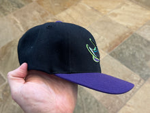 Load image into Gallery viewer, Tampa Bay Devil Rays American Needle Snapback Baseball Hat