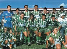Load image into Gallery viewer, Vintage SE Palmeiras Brazil Reebok Football Soccer Jersey, Size Large