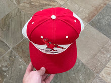 Load image into Gallery viewer, Vintage Ohio Valley Redcoats Snapback Baseball Hat