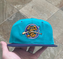 Load image into Gallery viewer, Vintage Charleston River Dogs New Era Snapback Baseball Hat