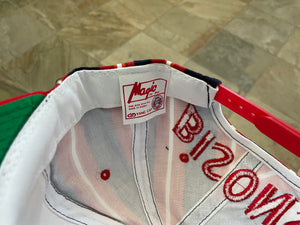 Vintage Howard Bisons Magic By Bee Snapback College Hat